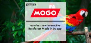 Mogo launches new interactive Rainforest Mode in its app | Fintech Finance