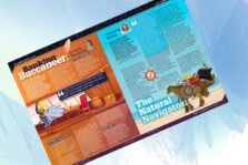 Exclusive: 'The Natural Navigator' - Samantha Seaton, Moneyhub in "Swashbucklers 2020" | Fintech Finance