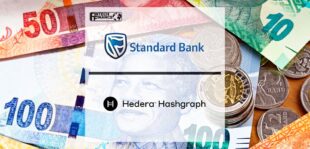 Standard Bank Group establishes Africa’s first Hedera network node | Fintech Finance
