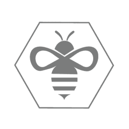 Apis Partners | Fintech Finance