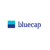 Bluecap Management Consulting