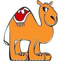 Debt Camel | FinTech Finance