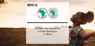 African Development Bank Partners with Alliance for a Green Revolution in Africa | Fintech a