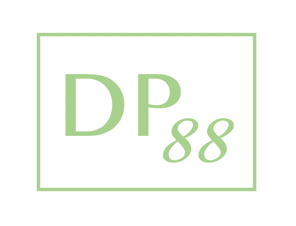 DP88 | Fintech Finance