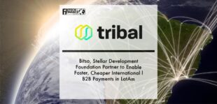 Tribal Credit, Bitso, Stellar Development Foundation Partner to Enable Faster, Cheaper International B2B Payments in LatAm | Fintech Finance