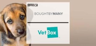 Bought By Many Acquires VetBox | Fintech Finance