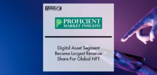 Digital Asset Segment Became Largest Revenue Share For NFT Market | Fintech Finance