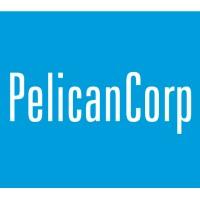 PelicanCorp | Fintech Finance
