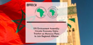 African Development Bank and Regional Alliance | Fintech Finance