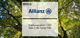 Allianz employees plant 1,000 trees in the Surrey Hills | Fintech Finance