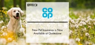 Co-op Insurance`s New Pet Insurance is Now Available at Quotezone | Fintech Finance