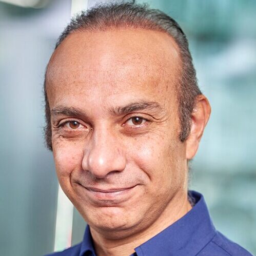 Hani Hagras