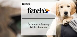 "Fetch by the Dodo" Pet Insurance, Formerly Petplan, Launches | Fintech Finance