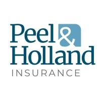 Peel & Holland | Fintech Finance