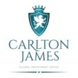 Carlton James Global Investment Group | Fintech Finance