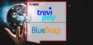 TreviPay Partners with BlueSnap to Integrate Trade Credit and Invoicing Card Processing Solutions for Global B2B Businesses | FF News