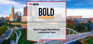 Bold Penguin Leadership Team