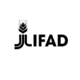 IFAD | Fintech Finance