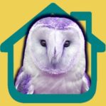 Adjoin Homes | FF News