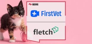FirstVet Partners with Fletch to Enable a Pet Insurance Marketplace