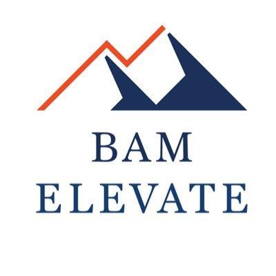 BAM Elevate