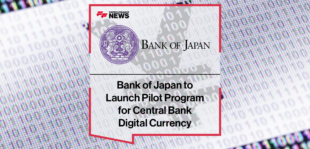 Central Bank Digital Currency