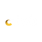 Covo Finance