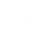 IDB