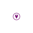 Myntfund