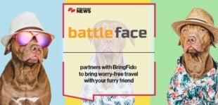 battleface partners with BringFido to bring worry-free travel with your furry friend