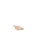 TAZI