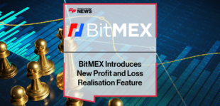 BitMEX PnL