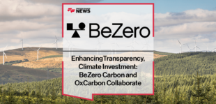Carbon Market