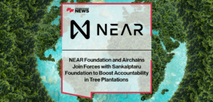 Tree Plantations