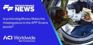 Is protecting Money Mules the missing piece to the APP Scams puzzle?