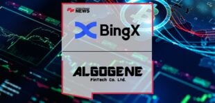 bingx-1.jpg