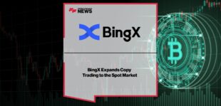 bingx2.jpg
