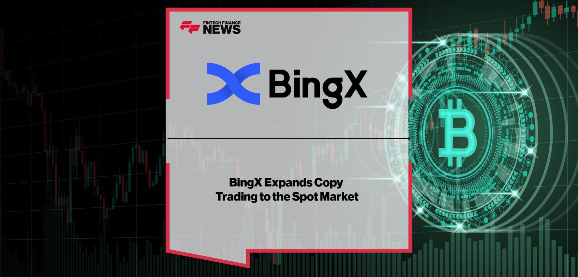 bingx2.jpg