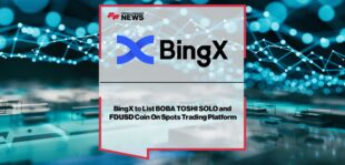 bingxspots.jpg