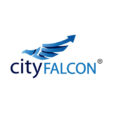 cityfalcon.jpg