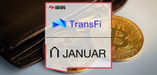 transfi-2-1.jpg