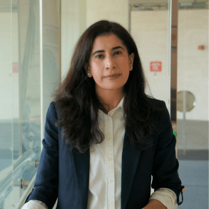 Seema Chibber