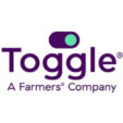 toggle.jpg