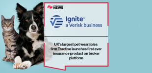 UK’s largest pet wearables firm Tractive launches first ever insurance product on Ignite’s broker platform