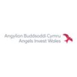 Angels Invest Wales