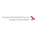 Angels Invest Wales