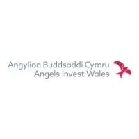 Angels Invest Wales