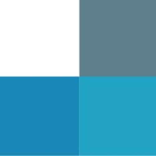 Crypto Carbon Ratings Institute (CCRI)
