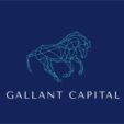 Gallant Capital | Fintech Finance News