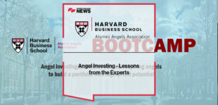 Angel Investing - Lessons from the Experts